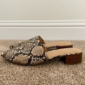 A New Day - Codi Mule Snake with Stud